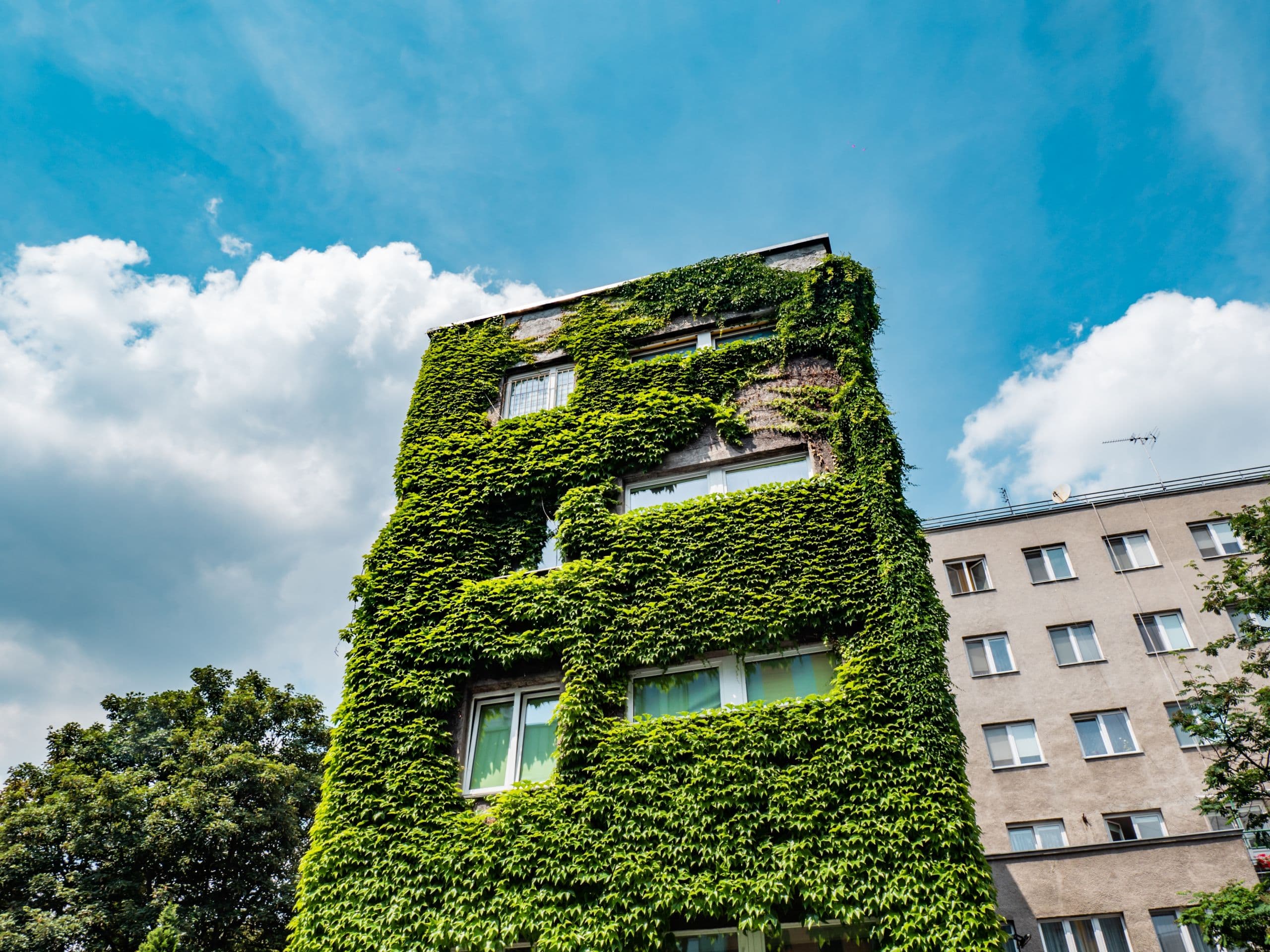 Building for the Future: How Warsaw's Green Building Standard is changing the city