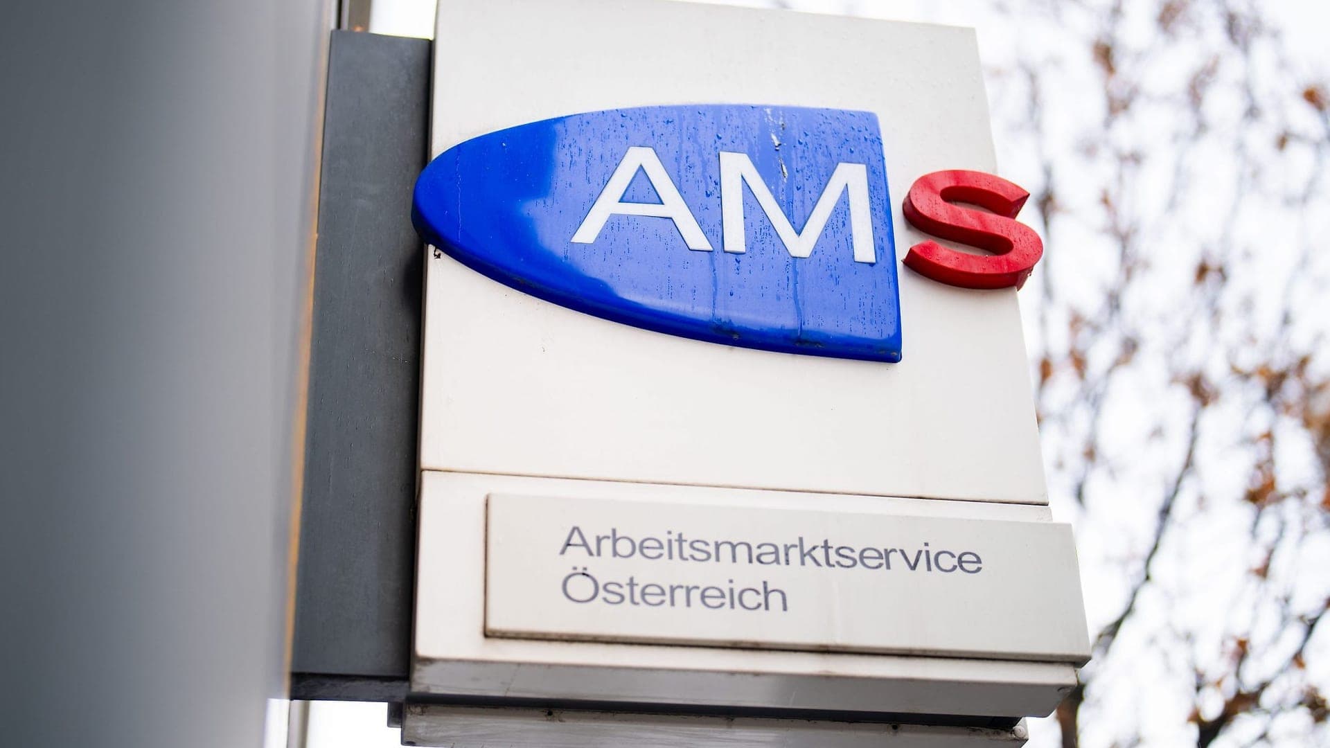 Bundesverwaltungsgericht W256 2235360-1 (1 September 2025) — AMS Arbeitsmarktchancen-Assistenzsystem (AMAS)